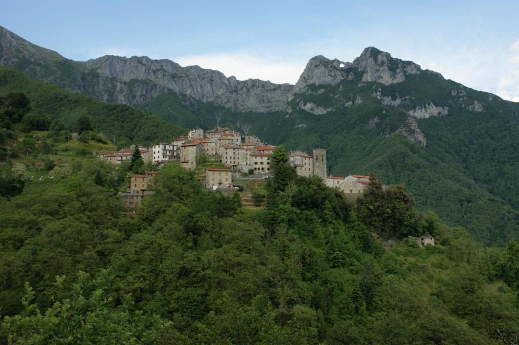 Вілла Casa Poggio Delle Farfalle Стаццема Екстер'єр фото